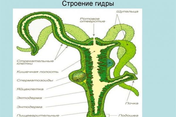 Поддержка омг